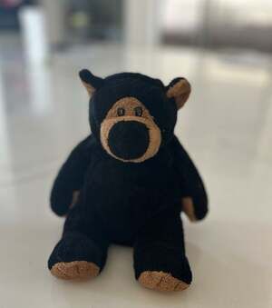 Wishpets Black Bear John 2002 Plush Stuffed Animal Toy 9.5” Rare